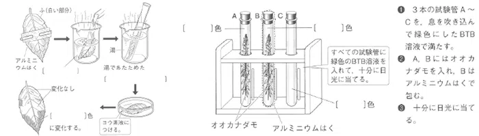 中学部 理科社会 高校受験 定期テスト 学習塾 臨海セミナー