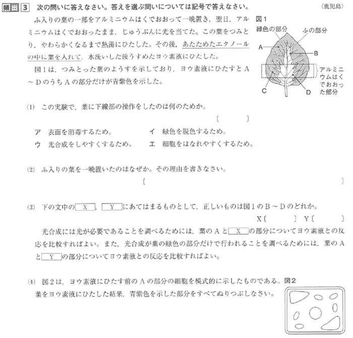 中学部 理科社会 高校受験 定期テスト 学習塾 臨海セミナー