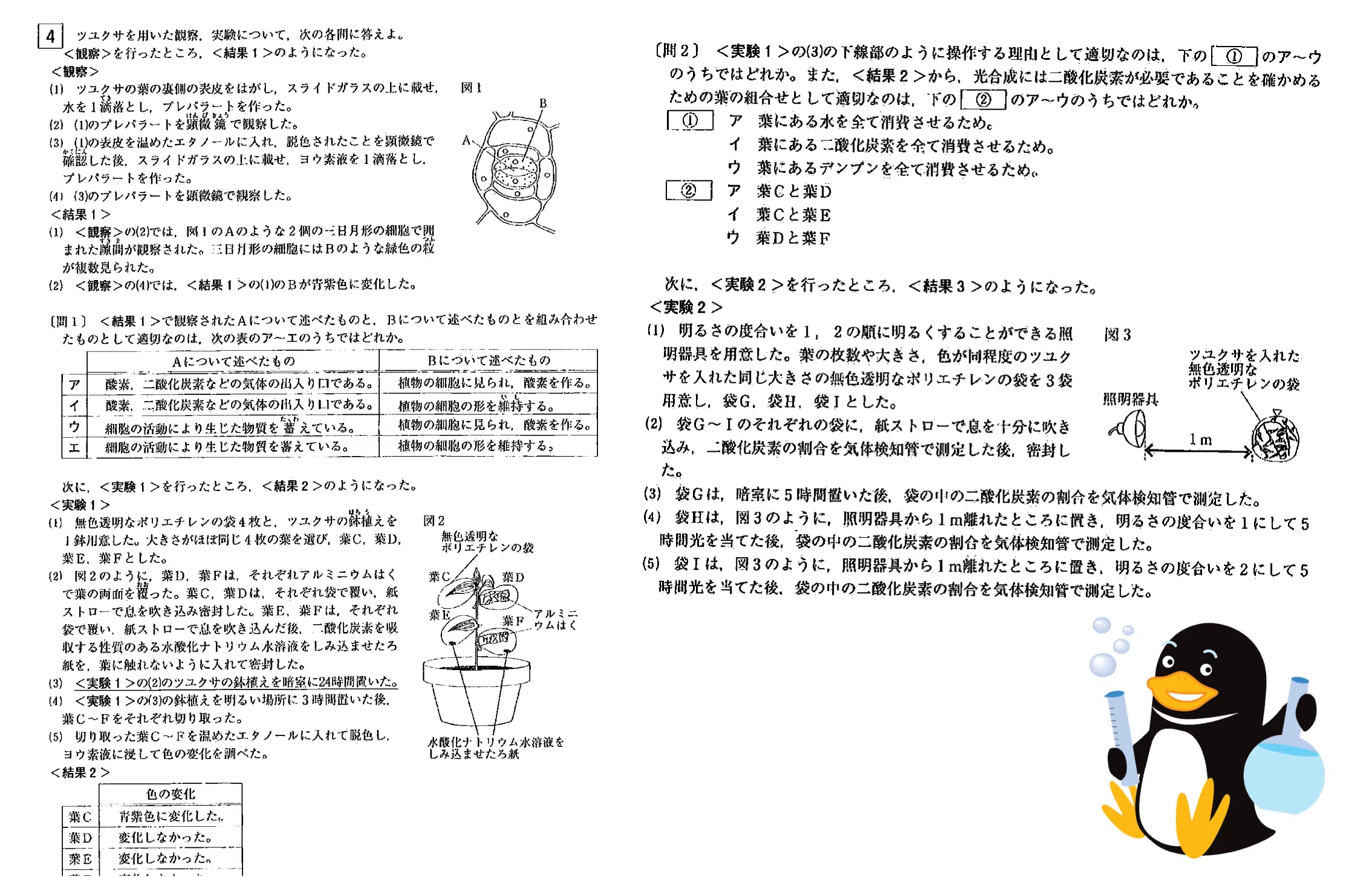 2021年度　神奈川県学力検査 問6より抜粋