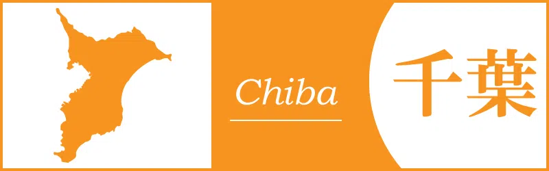 千葉 難関高校対策 都立公立トップ校受験 学習塾 臨海セミナー 千葉 難関高校対策 都立公立トップ校受験 学習塾 臨海セミナー