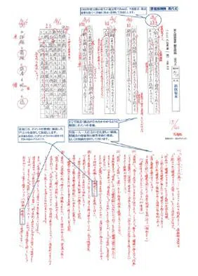 添削解答サンプル 解説付き(現代文)