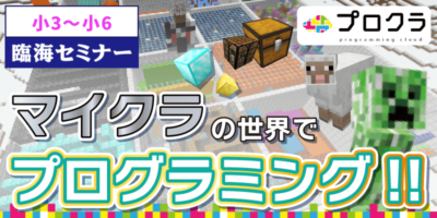 小学生向けプログラミング教室「臨海プロクラ」