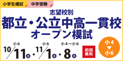 【2025年度版 臨海セミナー 公立中高一貫校 6Z 14冊セット♥】 2025年度版 臨海セミナー 公立中高一貫校 6Z 14冊セット♥】の