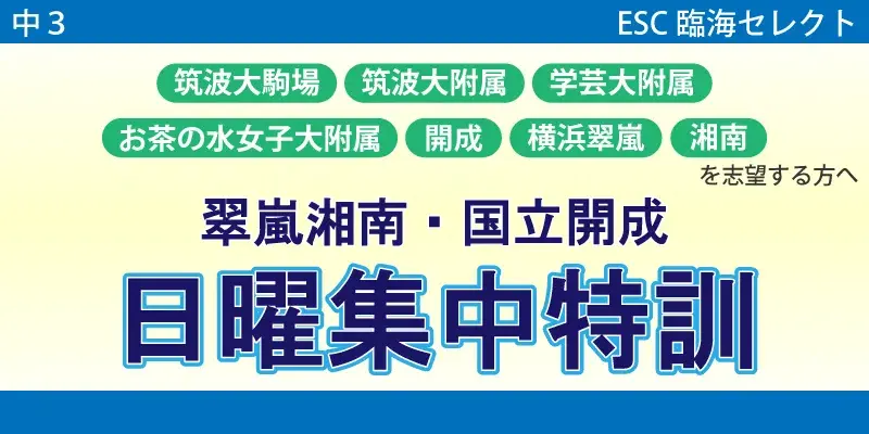 翠嵐湘南・国立開成日曜集中特訓