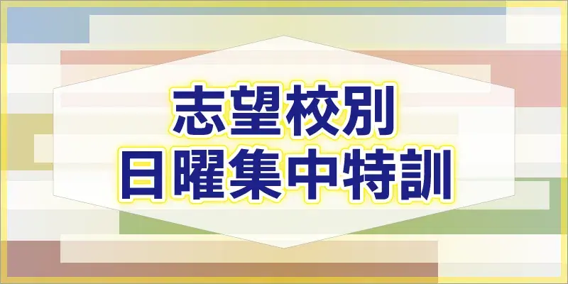 志望校別日曜集中特訓