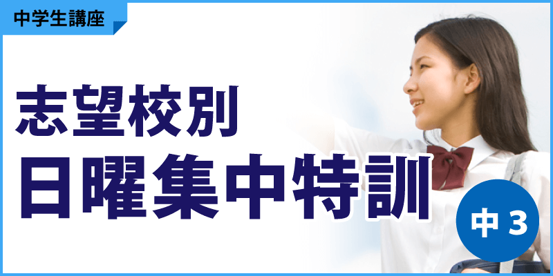 志望校別日曜集中特訓