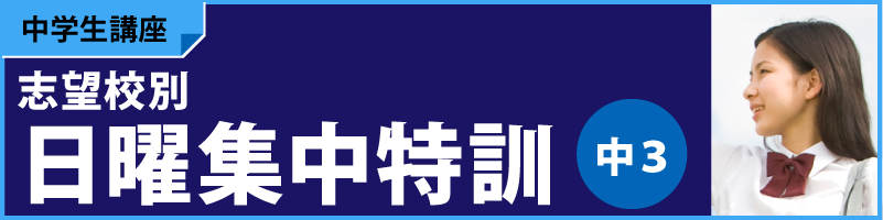 志望校別日曜集中特訓